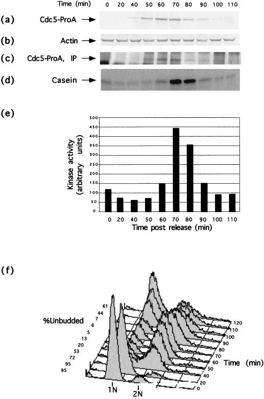 FIG. 8