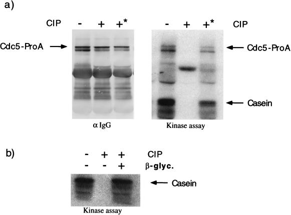 FIG. 10