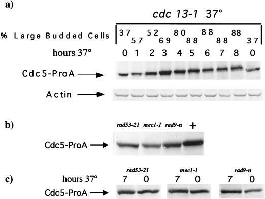 FIG. 9