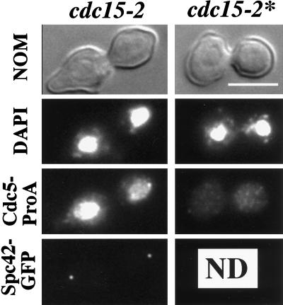 FIG. 6