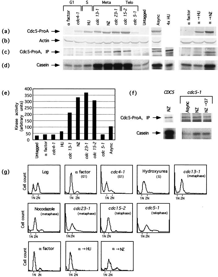 FIG. 7