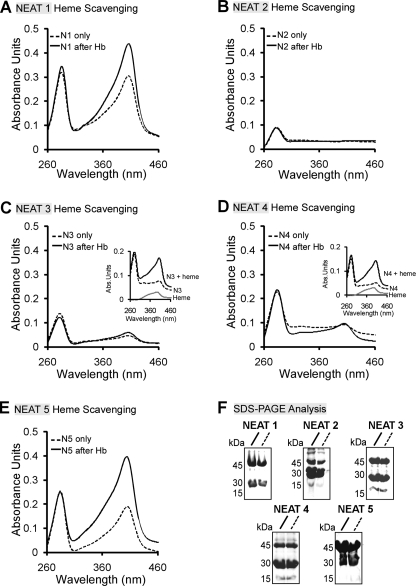 FIGURE 4.