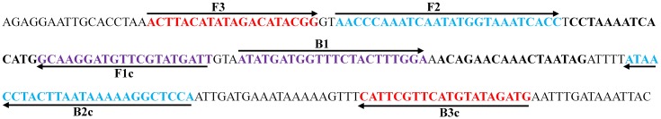 Figure 2.