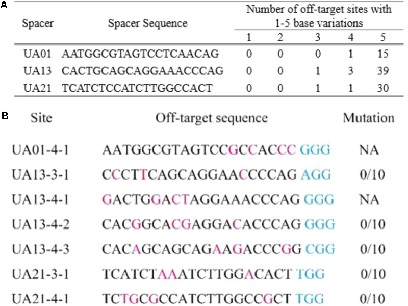 FIGURE 3