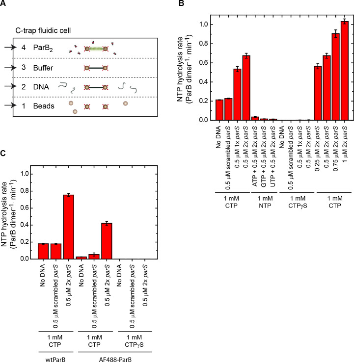 Figure 1—figure supplement 1.