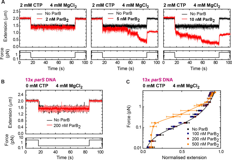 Figure 4—figure supplement 1.