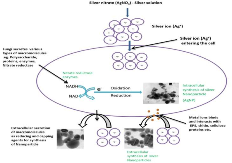 Figure 1