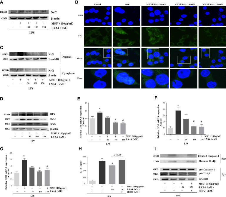 Figure 6