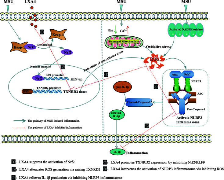 Figure 10