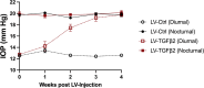 Figure 6—figure supplement 1.