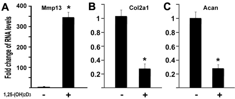 Fig 5