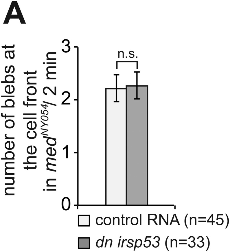 Figure 6—figure supplement 2.