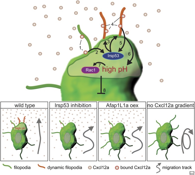 Figure 10.