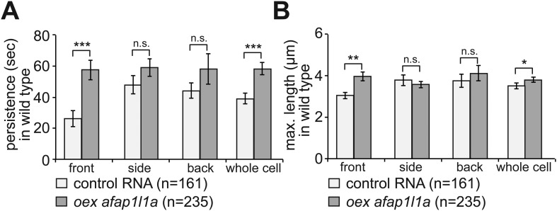 Figure 7—figure supplement 1.