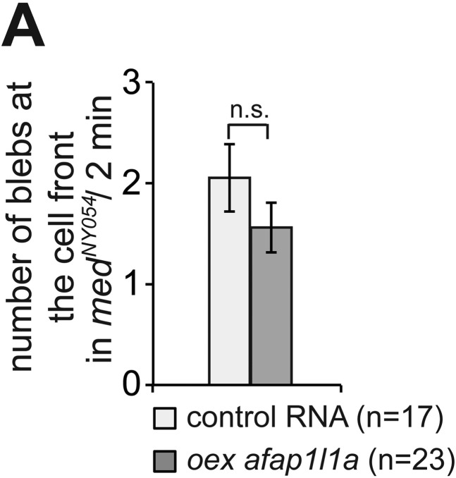 Figure 7—figure supplement 2.