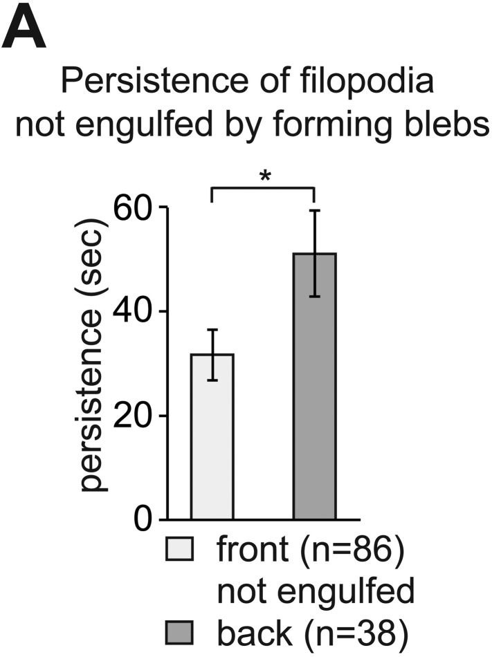 Figure 3—figure supplement 1.