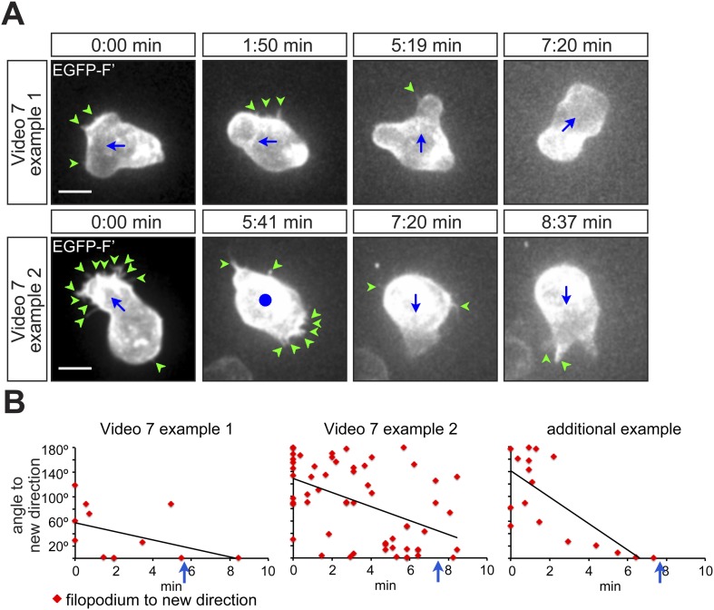 Figure 4—figure supplement 2.