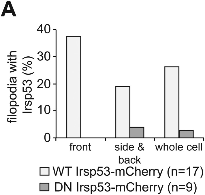 Figure 6—figure supplement 1.