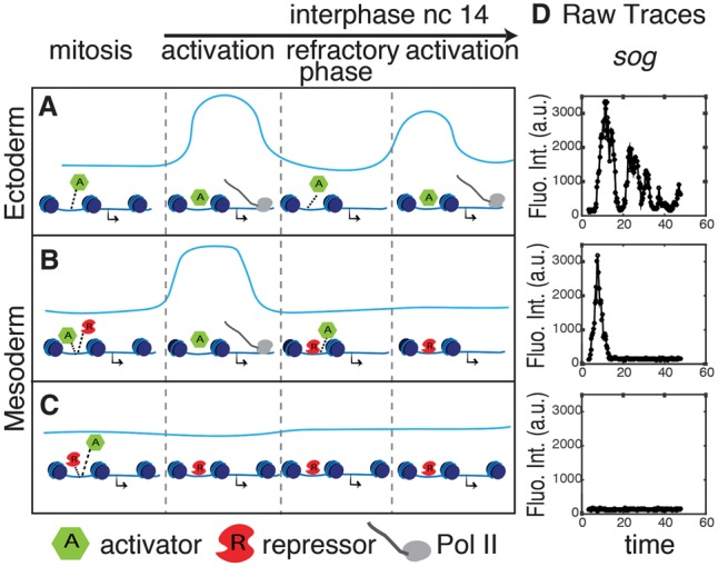 Figure 4.