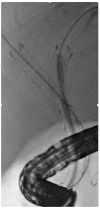 Figure 8