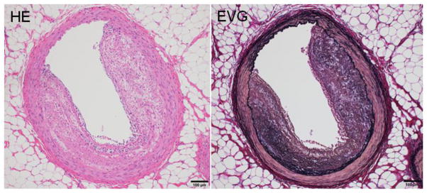 Fig. 9