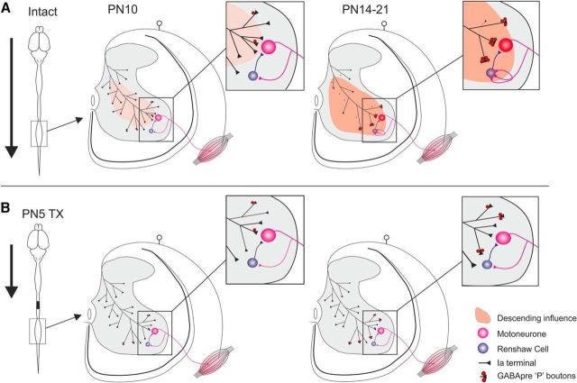 Figure 10.