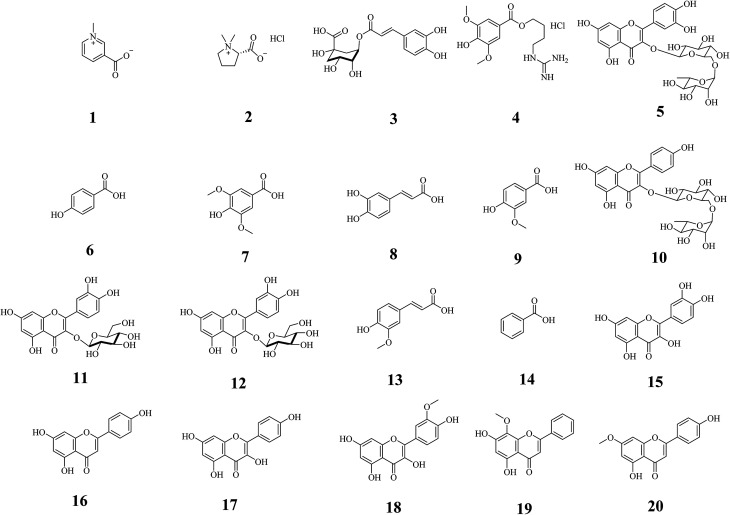 Fig. 2