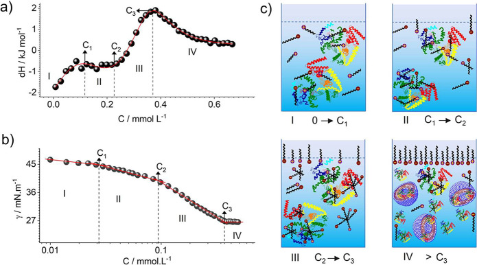 Figure 24