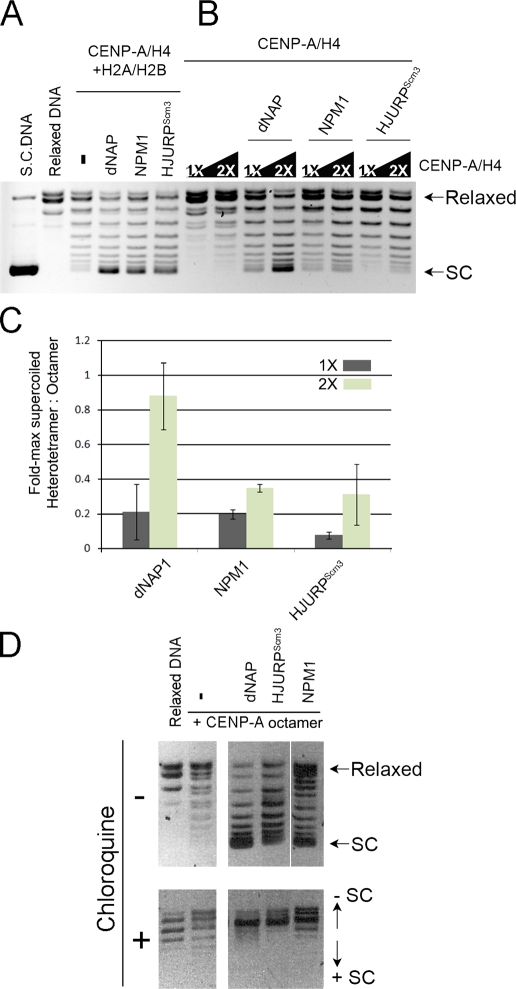 Figure 5.