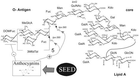 FIG. 1.