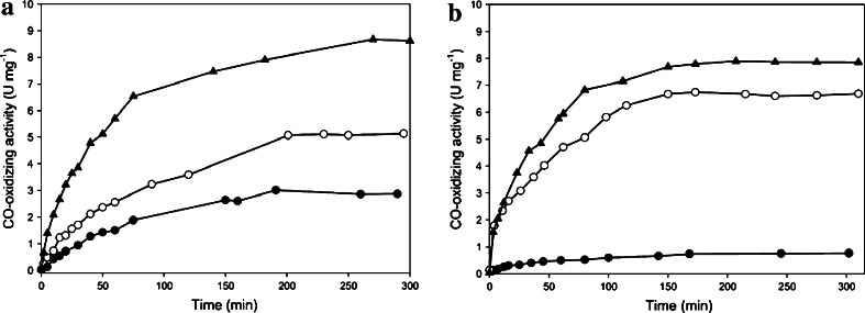 Fig. 6