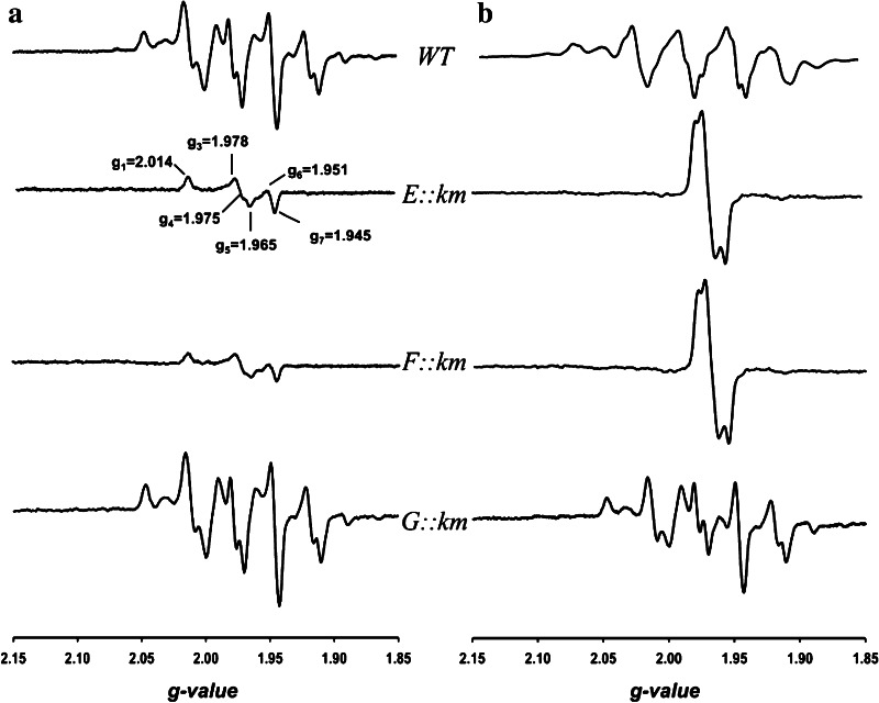 Fig. 7