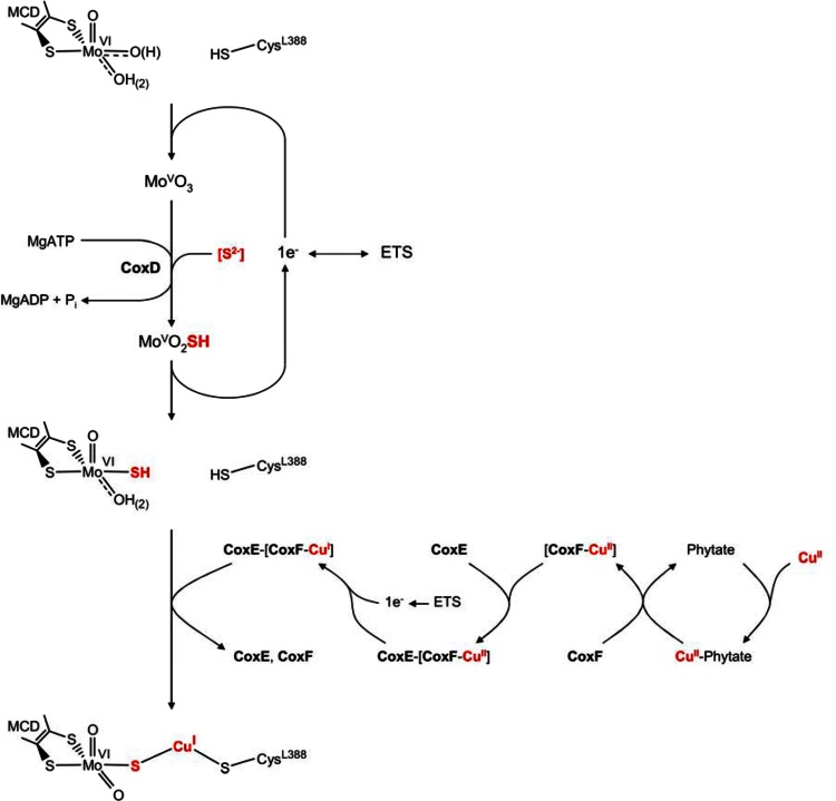 Fig. 9