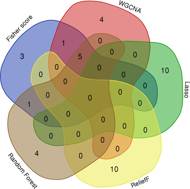 Figure 5