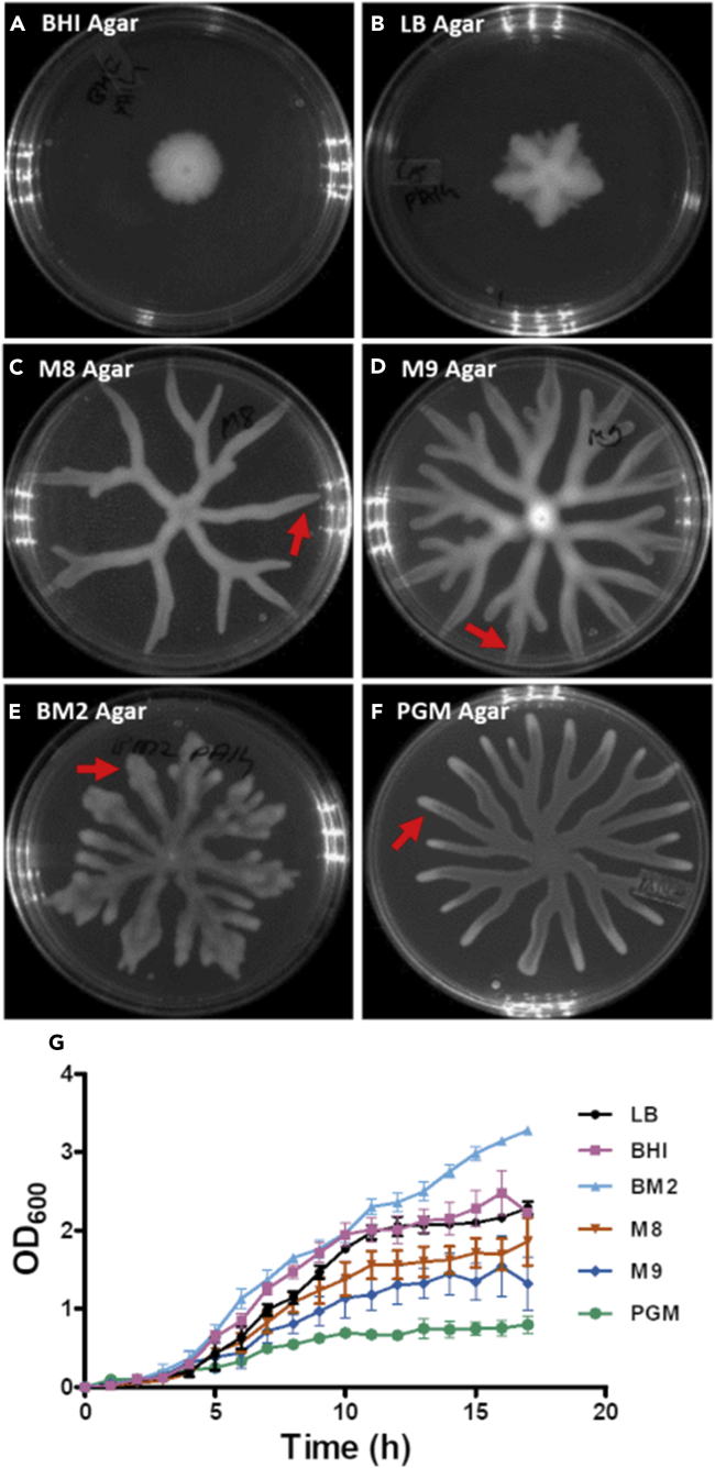 Figure 1