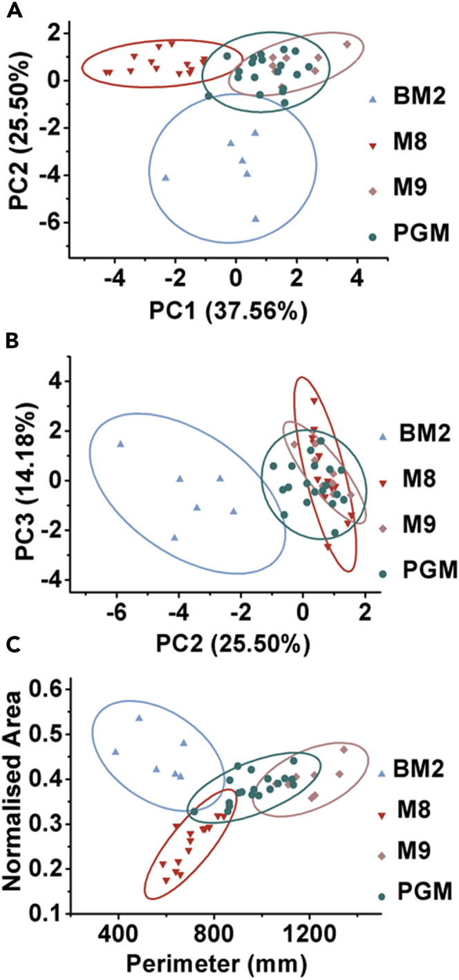 Figure 3