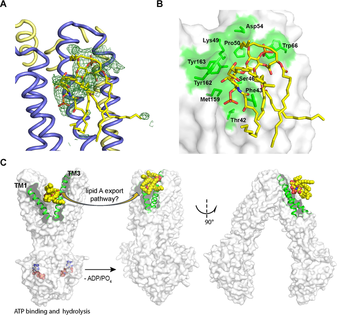 Figure 6.