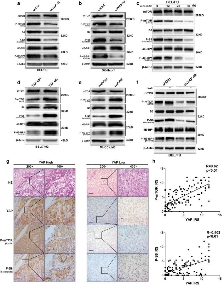 Fig. 6