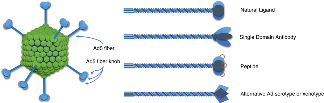 Figure 2: