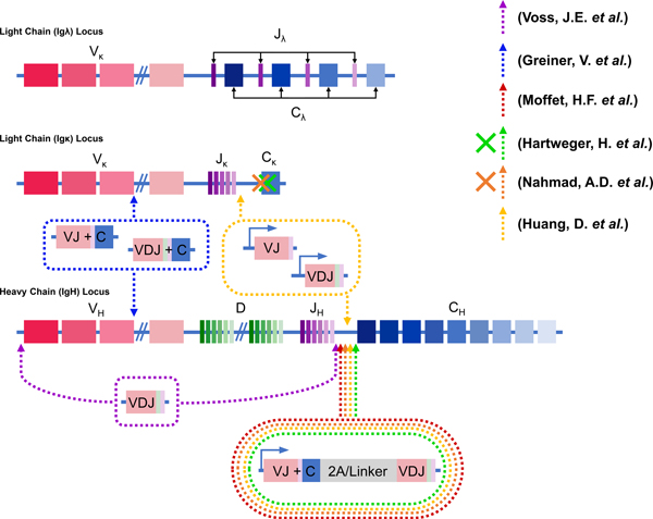 Figure 1: