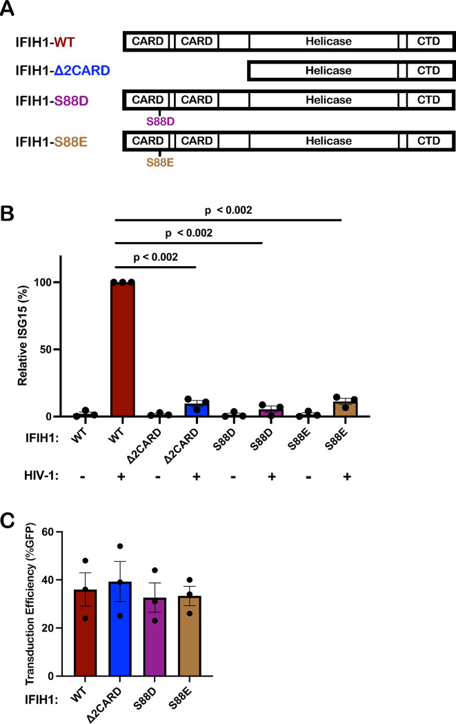 Figure 6.