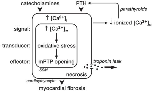 Figure 1)