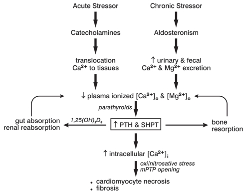 Figure 2)