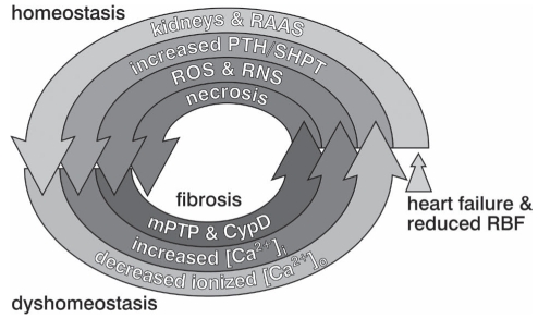 Figure 3)