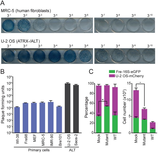 Fig. 6.