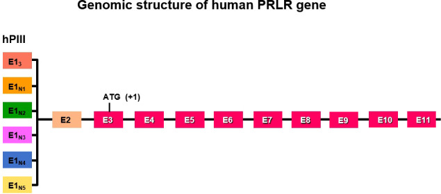 Figure 1