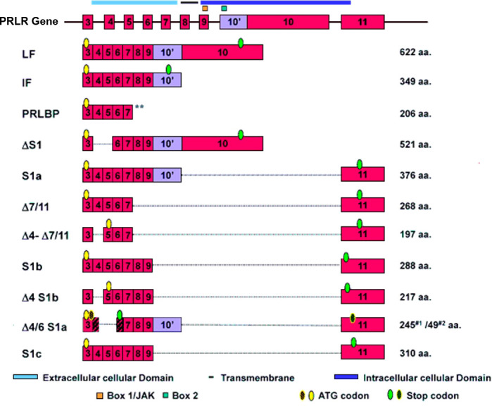 Figure 2