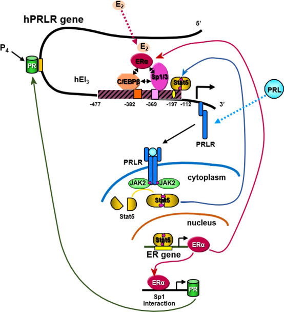 Figure 5