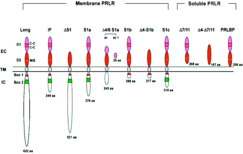 Figure 3