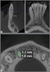 Figure 2: